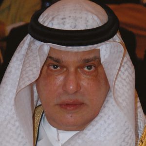 Mohamed Ali Ismail Turki